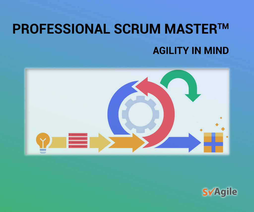 Professional Scrum Master